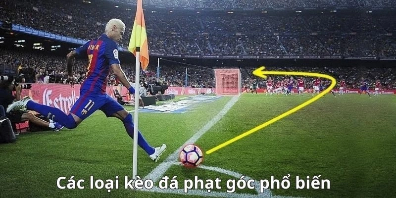 Chấp kèo phạt góc Xin88 chẵn lẻ